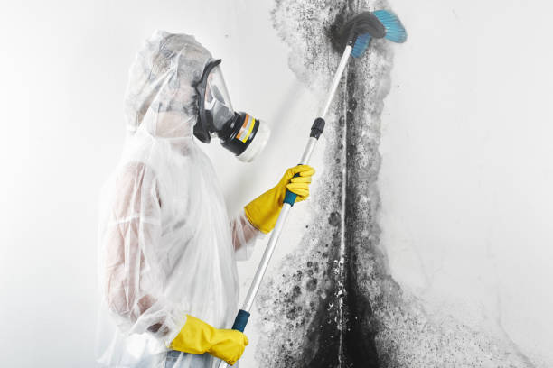 Best Air Quality Testing for Mold Spores  in Warren, OR