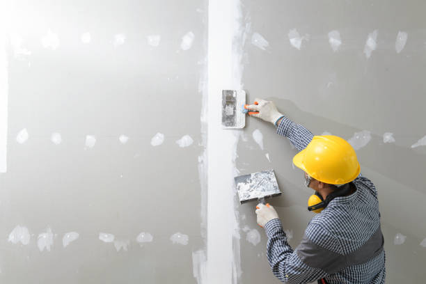 Best Biohazard Mold Removal  in Warren, OR
