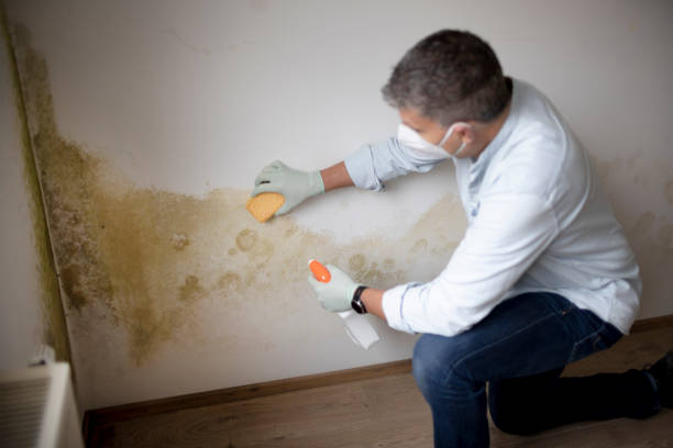 Best Indoor Air Quality Assessment  in Warren, OR