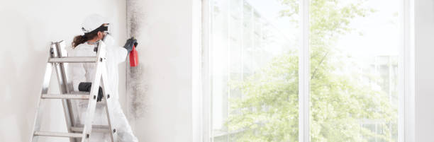 Best Forensic Mold Investigation  in Warren, OR